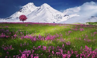 08 Days Gangtok, Lachung, Lachen & Pelling Tour Package